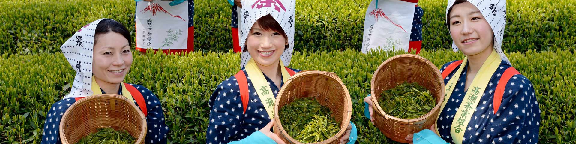  JAPANESE BEVERAGES | GREEN TEA | MATCHA | OCHA